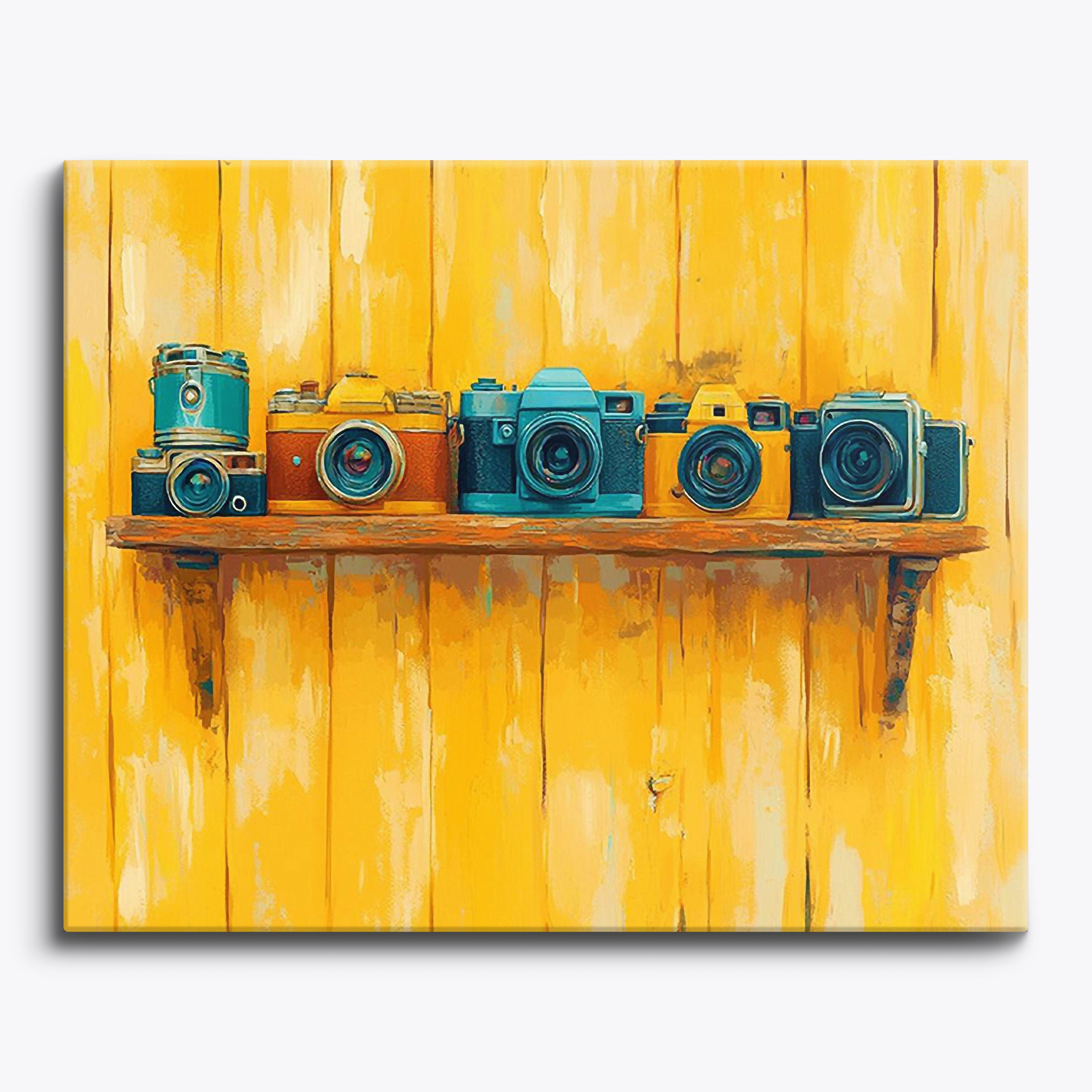 Retro Camera Display No Frame / Regular (15.75"x19.7"/40x50cm) / 24 colors